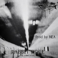 Rabbit Hole {Slowdive} (Prod. Nea)