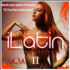 El Tren De La Salsa Dura - David Lenis And His Orchestra