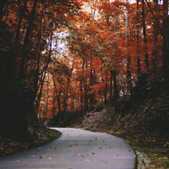 Mitar - Autumn Nights Mix