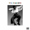 Sdp Interlude Mp3