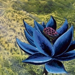 Black Lotus