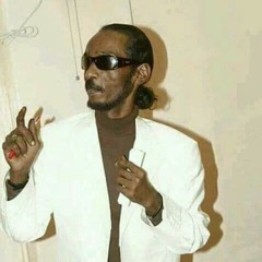 محمود عبد العزيز _ الليل الهادي