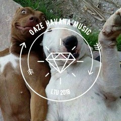 Love is Gone (Robert Cristian Remix)