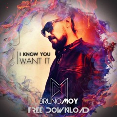 Bruno Moy - I Know You Want It (Original Mix) FREE DONWLOAD!