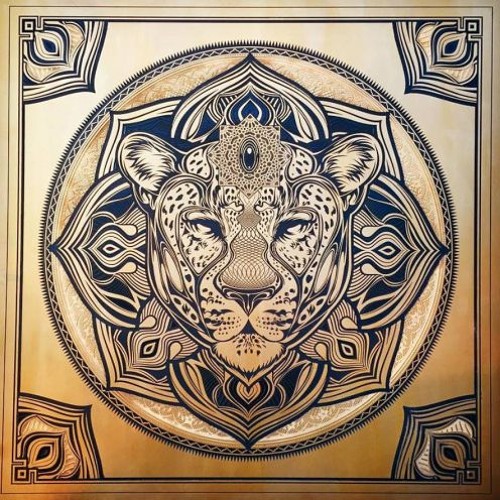 Elevation 2019 Mix Set
