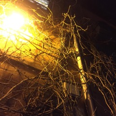 Chapel (Prod. RK beats)