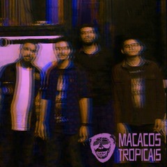 Macacos Tropicais - Red Light Indicates Doors Are Secured (Arctic Monkeys - Cover)