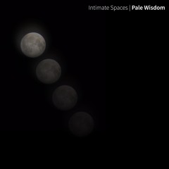Pale Wisdom