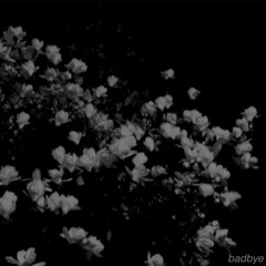 badbye