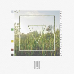 Mire — Something Meaningful