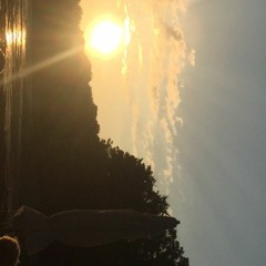 Florist-What i wanted to hold :)