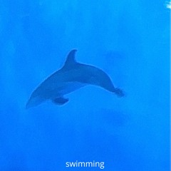 Swimming (prod. by Urban Nerd Beats)