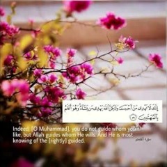 كم ناشد المختار ربه