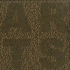 B2. Fabrizio Lapiana - Shoegazing IV