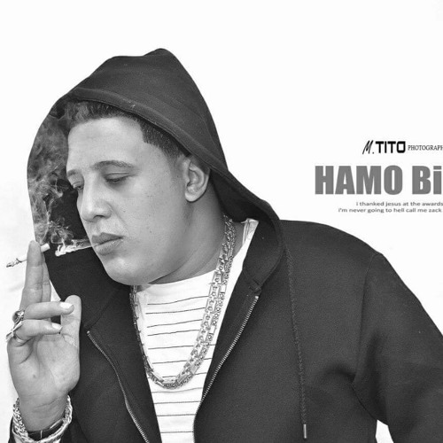 مهرجان الفارس -حمو بيكاا 2019