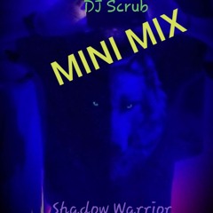 MINI MIX - DJ Scrub