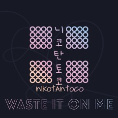BTS (방탄소년단) - Waste it on me (niko tantoco remix)