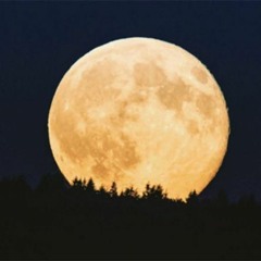 Cold Moon
