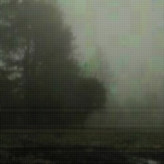 Underneath the Bridge