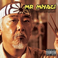 MR MIYAGI