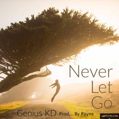 Never Let Go (Prod Rayne)