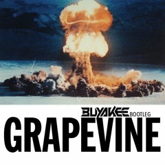 Tiësto - Grapevine (Buyakee Bootleg)