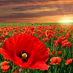 From the West Feat Philip WB