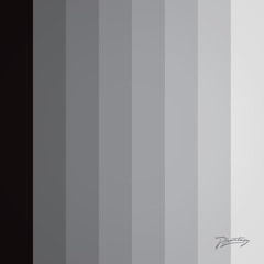 Silver Echoes