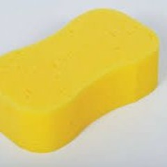 Sponge Monger