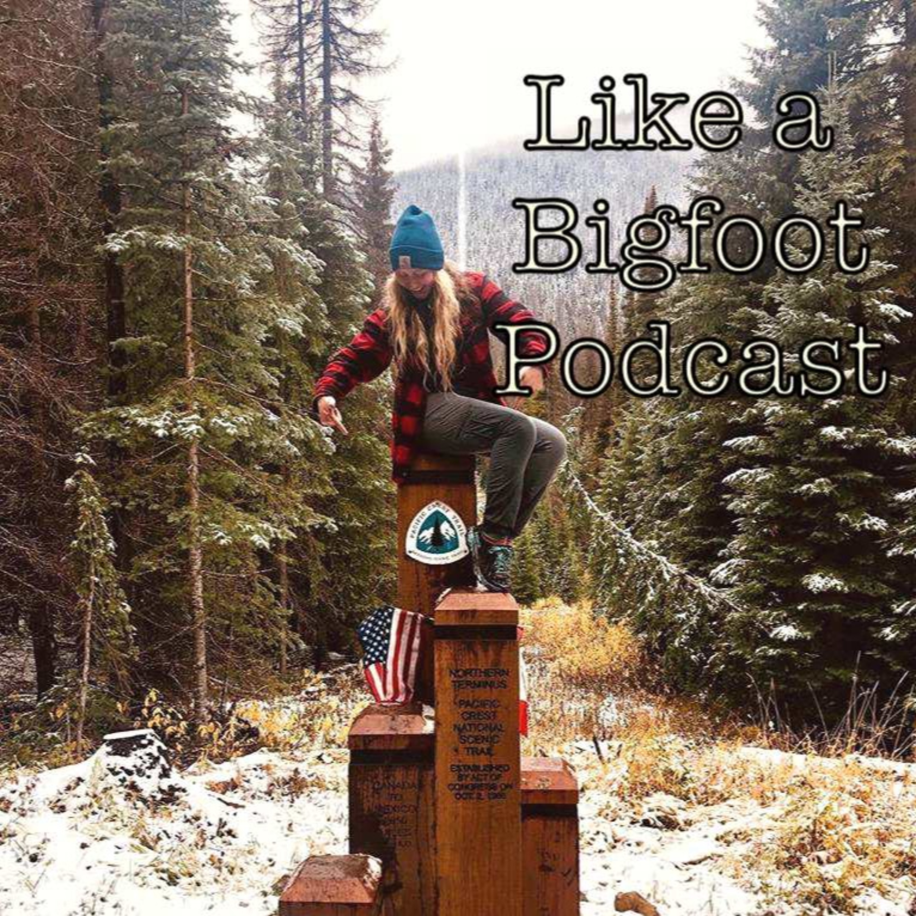 #119: Jennifer Mabus 2 -- Adventures while Thru-Hiking the Pacific Crest Trail episode artwork