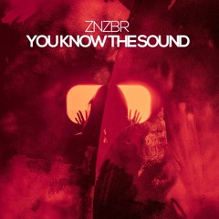 Premiere | ZNZBR - You Know The Sound