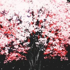 Jinsang-Betrayal