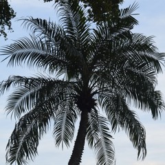 Scared Of You (Prod. trotter_mac)