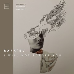 Rafa'EL - I Will Not Forget You (Stan Kolev Remix) | ICONYC NYC114