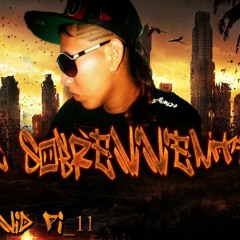 Intromix