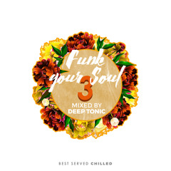 Funk Your Soul 3