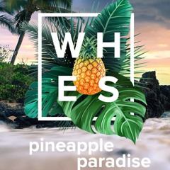 Dylan Thomas LIVE @ WHES VIII - Pineapple Paradise (7.22.2018)