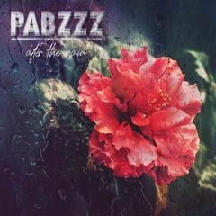 Pabzzz - After the rain - full Album out now ( vinyl & streaming links in description)