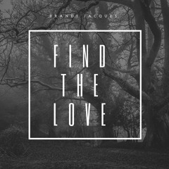 Find The Love by Brandi Jacques