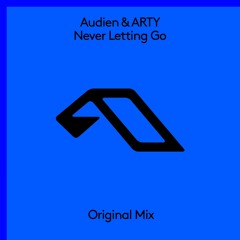 Never Letting Go (with Arty)