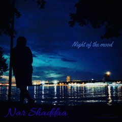 Nar Shaddaa - Night Of The Moon