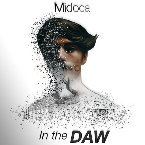 6.5 | Using Foley & Unique Remixing | Midoca In The DAW | Silk [Remix]