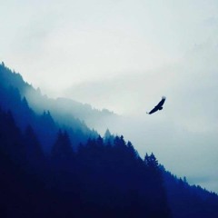 Lunet - "Deep Session" Mix October 016