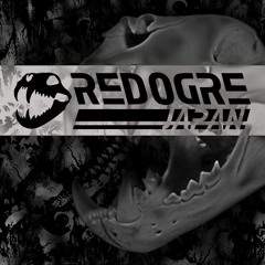 [SCIP - 019] RedOgre