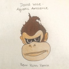 David Wise - Aquatic Ambience (Rexx Ross Remix)