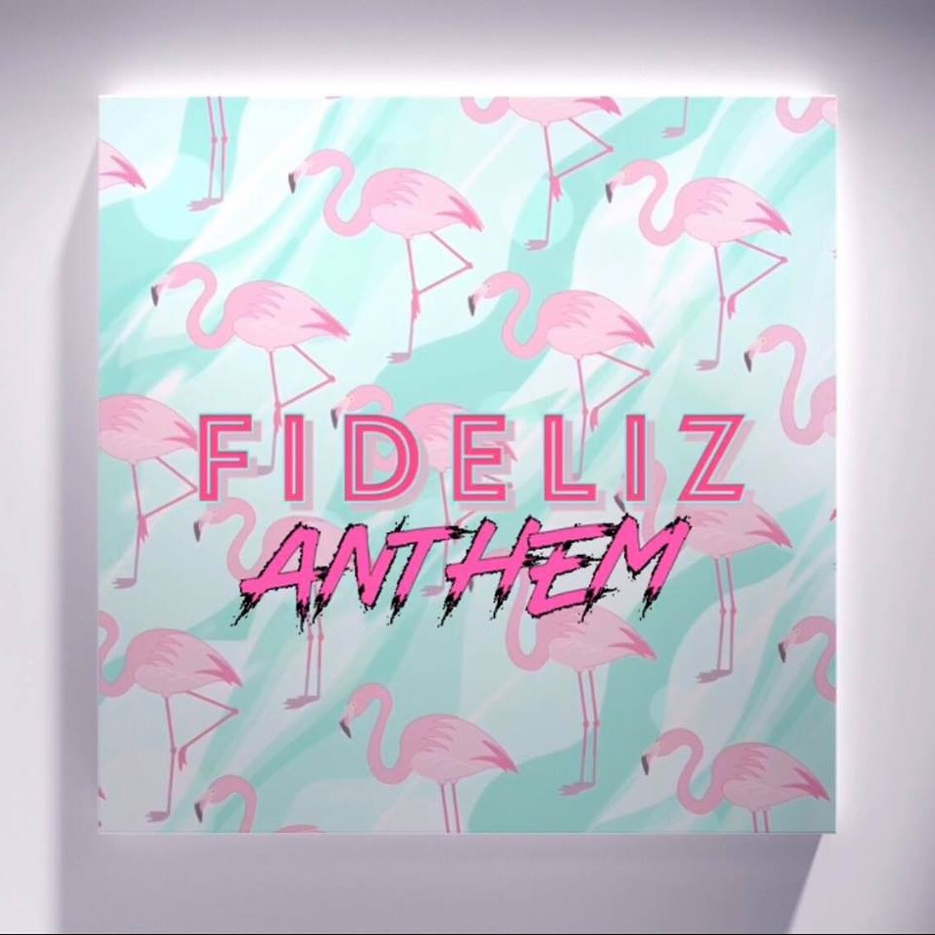 FIDELIZ ▲