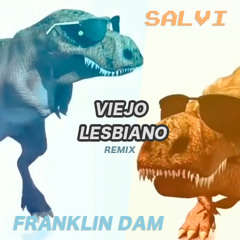 VIEJO LESBIANO (SALVI & FRANKLIN DAM REMIX)