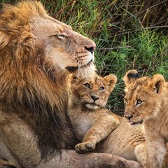 The Lion TDS (Uncle Lion) "Otherside Of Rap"  Ft (The CubS) J R & Ash