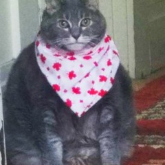 MADEVIL - СЕЛО РОФЛЯНОВО (ПАПИЧ) MMV 122