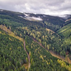 Above And Below (live In Austria) - Diamante 20